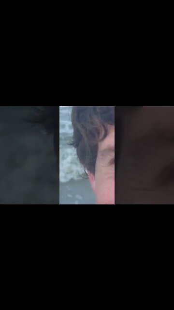 Dolphins🐬🐬🐬 followed me to my backyard! 😮 #shorts