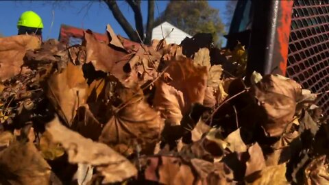 Milwaukee DPW collecting leaves; here's how you can help