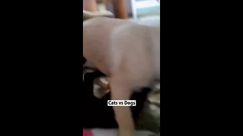 funny video part 1