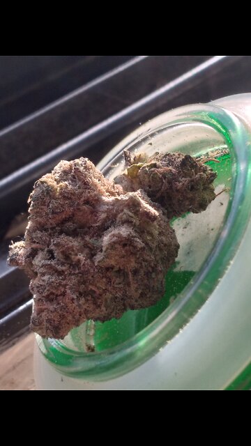 HOW TO ROLL LIKE AN oG