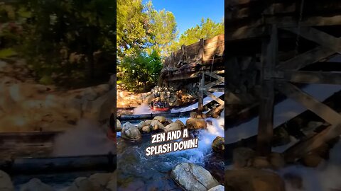 Grizzly River Run at DCA #californiaadventure #grizzlyriverrun #raftride #zen