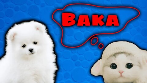 YOU KINDA SMELL! LIKE A BAKA! TikTok Trend