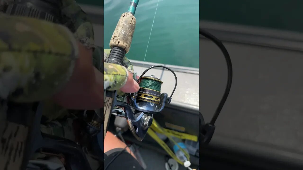 Let your line go out slowly when trolling or drifting with spinning tackle