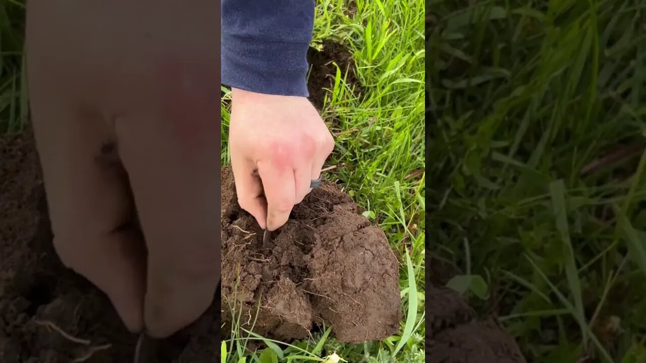 SEATED SILVER FOUND WHILE METAL DETECTING!