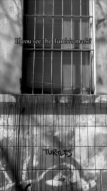 The Turtle’s Last Warning to Humans by Turtle Island Factory. 🐢