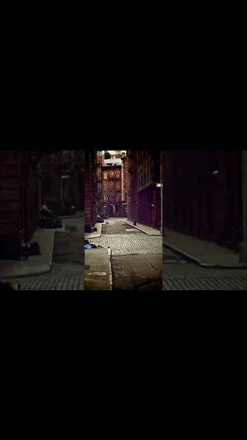 Old Bronx and New York photos history