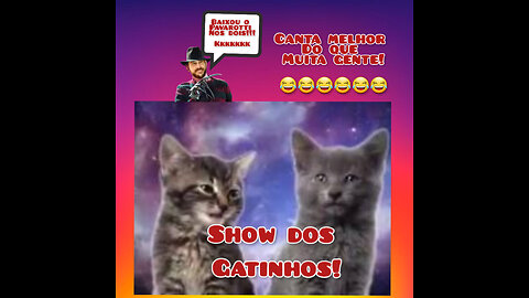 SHOW DOS GATINHOS....