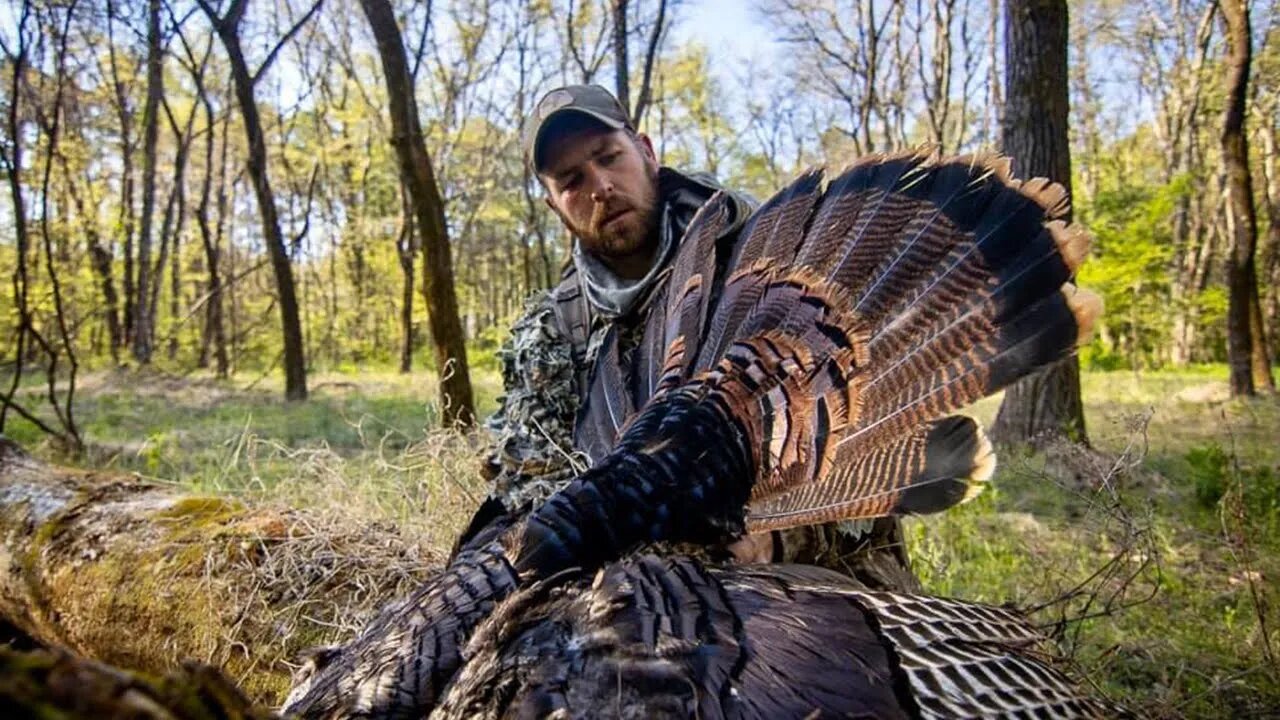 Back to the Roots - Illinois Public Land Turkey Hunt