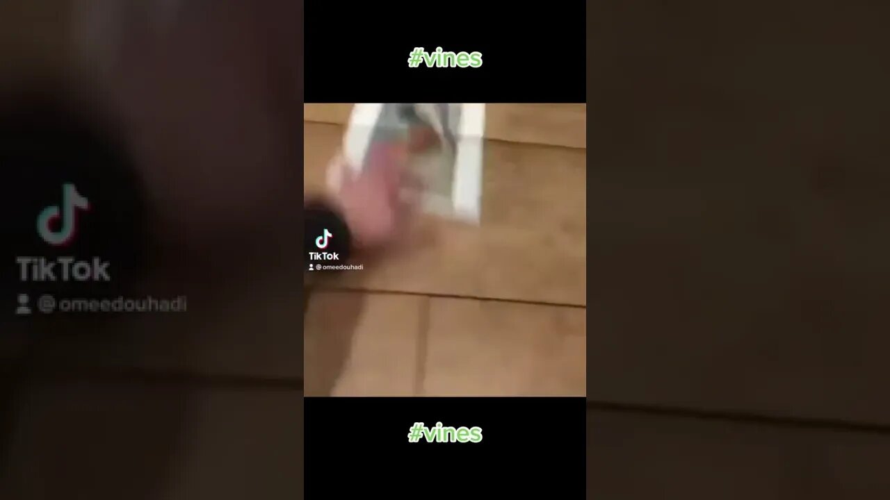 Chicken #vines #funny