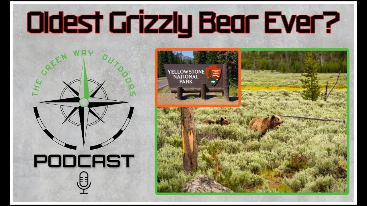 Oldest Grizzly Bear Ever? The Green Way Outdoors Podcast Clips