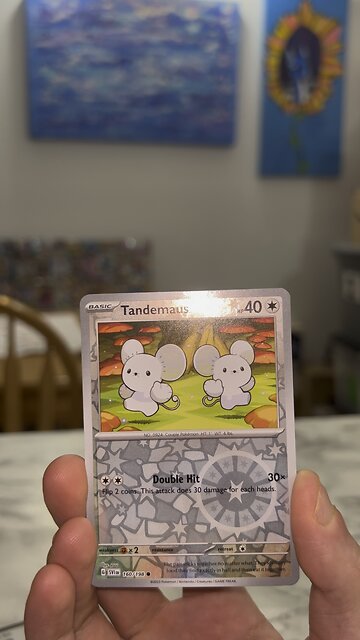 Cool Slowpoke from Scarlet & Violet