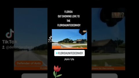 Florida comes out and shows support florida style with tons of golf carts