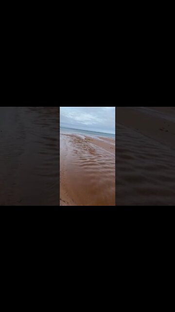 Interesting pattern in the water