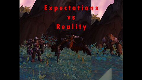 Expectations Vs Reality