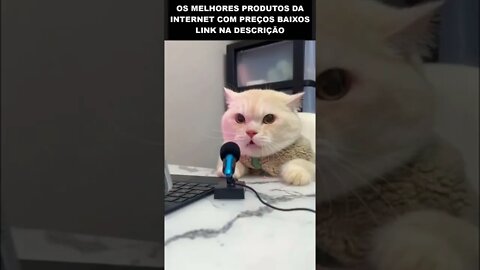 O gato digital influencer 🤣🤣