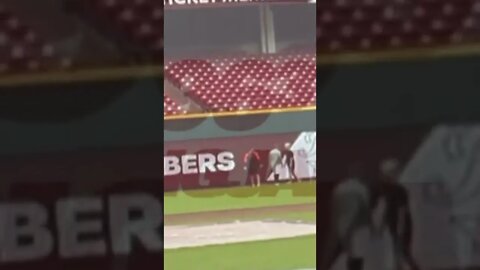Tommy Pham Slaps Joc Pederson #shorts #mlb #baseball