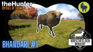 Bhandari #1 Hirschfelden | theHunter: Call of the Wild (PS5 4K)