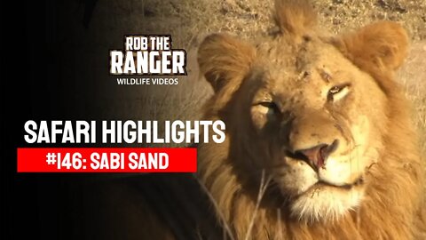 Safari Highlights #146: 02 - 05 June 2012 | Sabi Sand Nature Reserve | Latest Wildlife Sightings