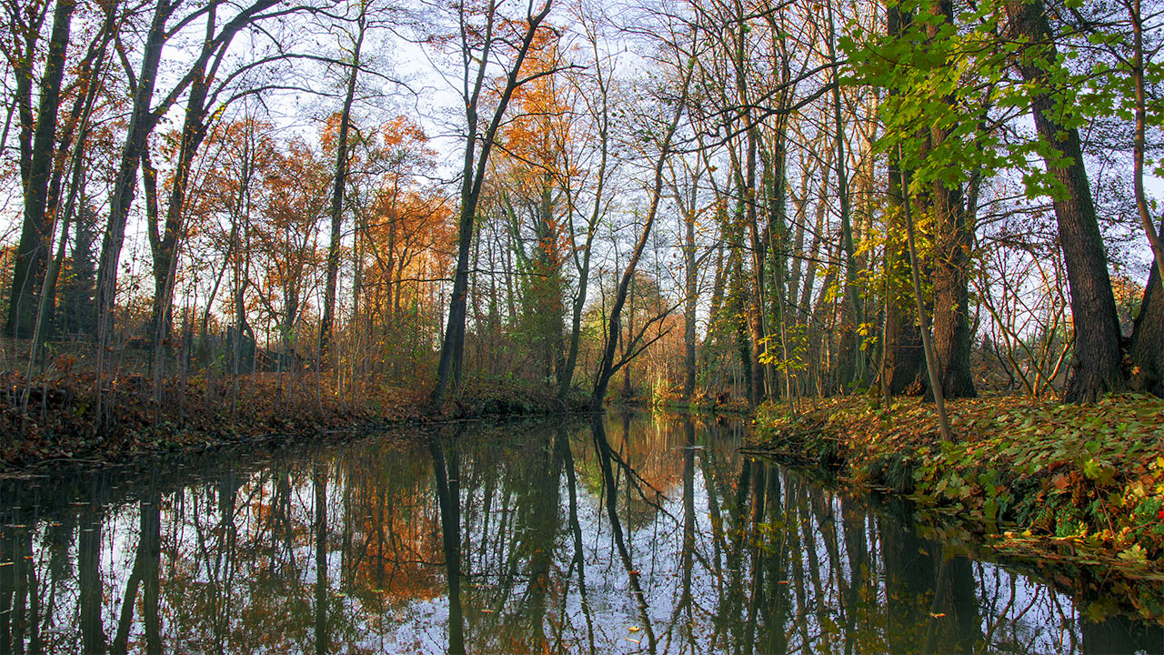 Autumn in the Spreewald