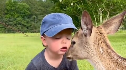 Baby love Animals.