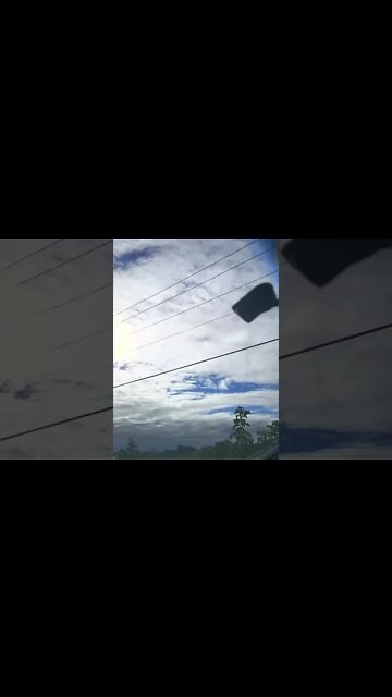 RING AROUND COLLAR DOT DASH