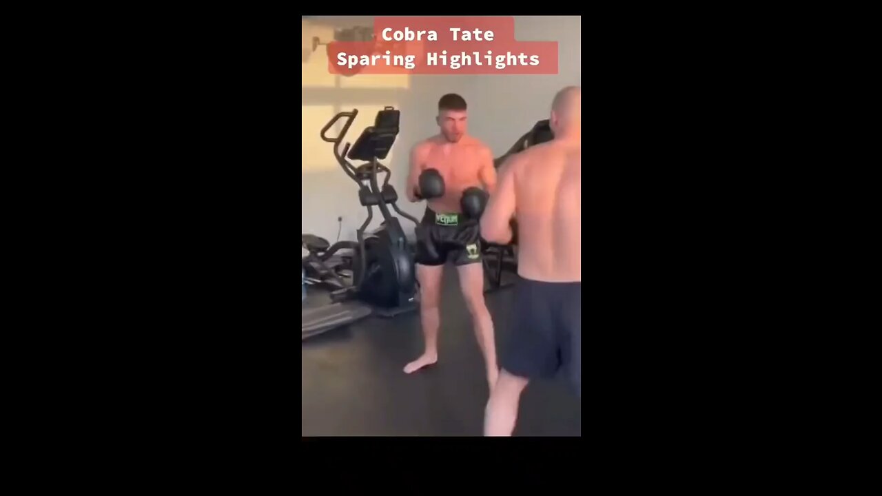 Andrew Tate knocking out his sparring partner.