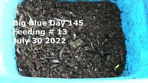 Big Blue day 145 Feeding # 13 July 30 2022