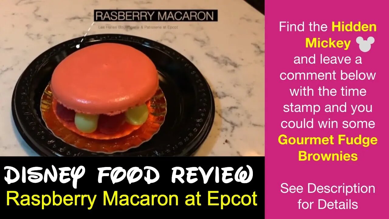 Raspberry Macaron at the France Pavilion at Epcot