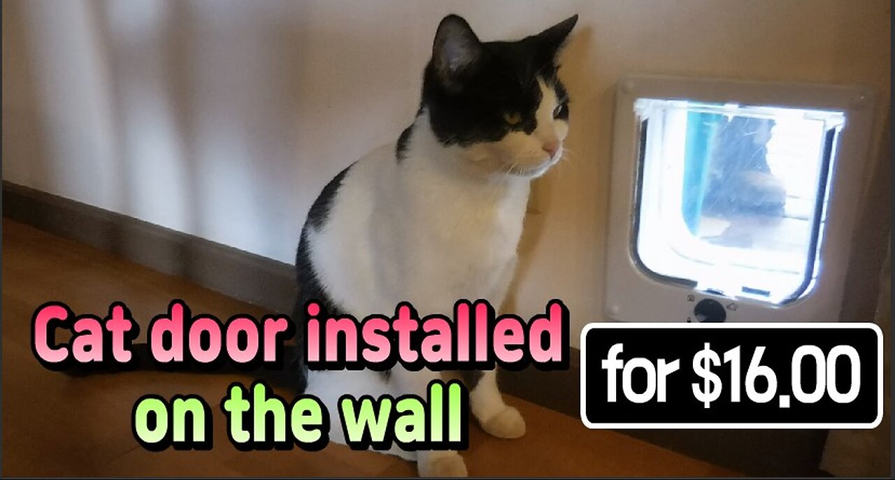 Cat door installed on the wall for $16.00