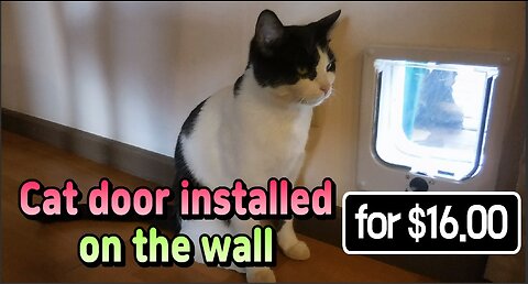 Cat door installed on the wall for $16.00