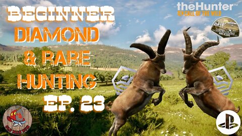 Beginner Diamond & Rare Hunting Ep 23 theHunter Call of the Wild