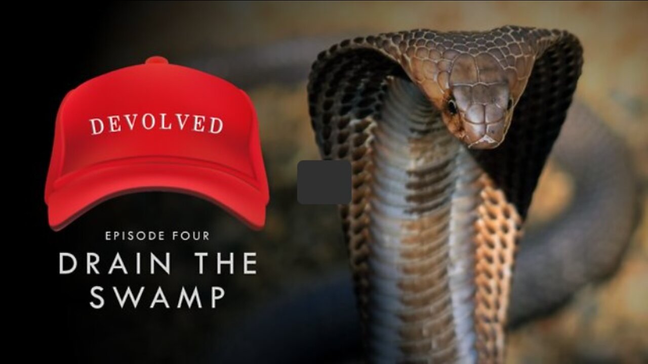 DEVOLVED | Vol 4 - Draining the Swamp, Adam Riva, 3 May 2022