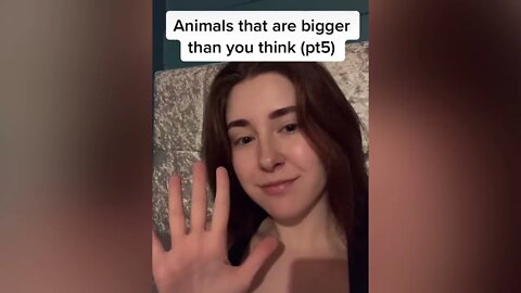 Daisy Daisy creepy TikTok trend PART 17