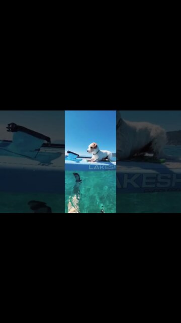 Ares celebrate labor day break with dad