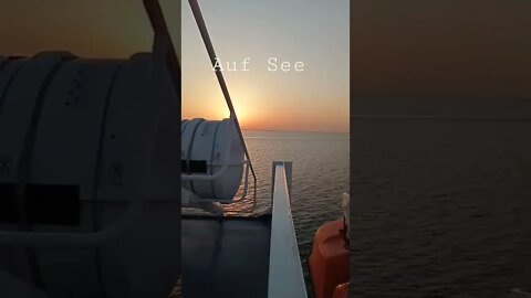 Auf See #shorts #meer