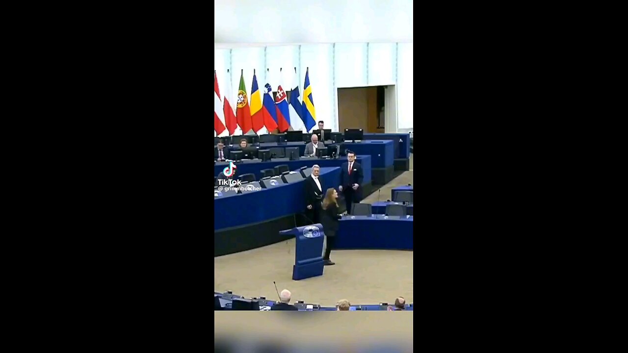 MAKE EUROPE GREAT AGAIN