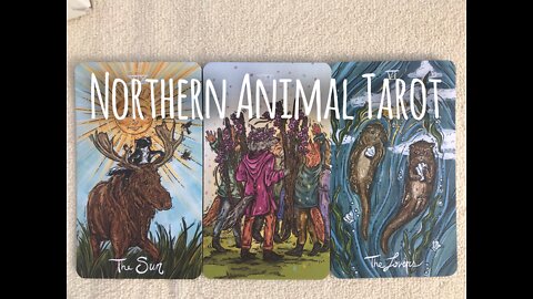 Northern Animal Tarot