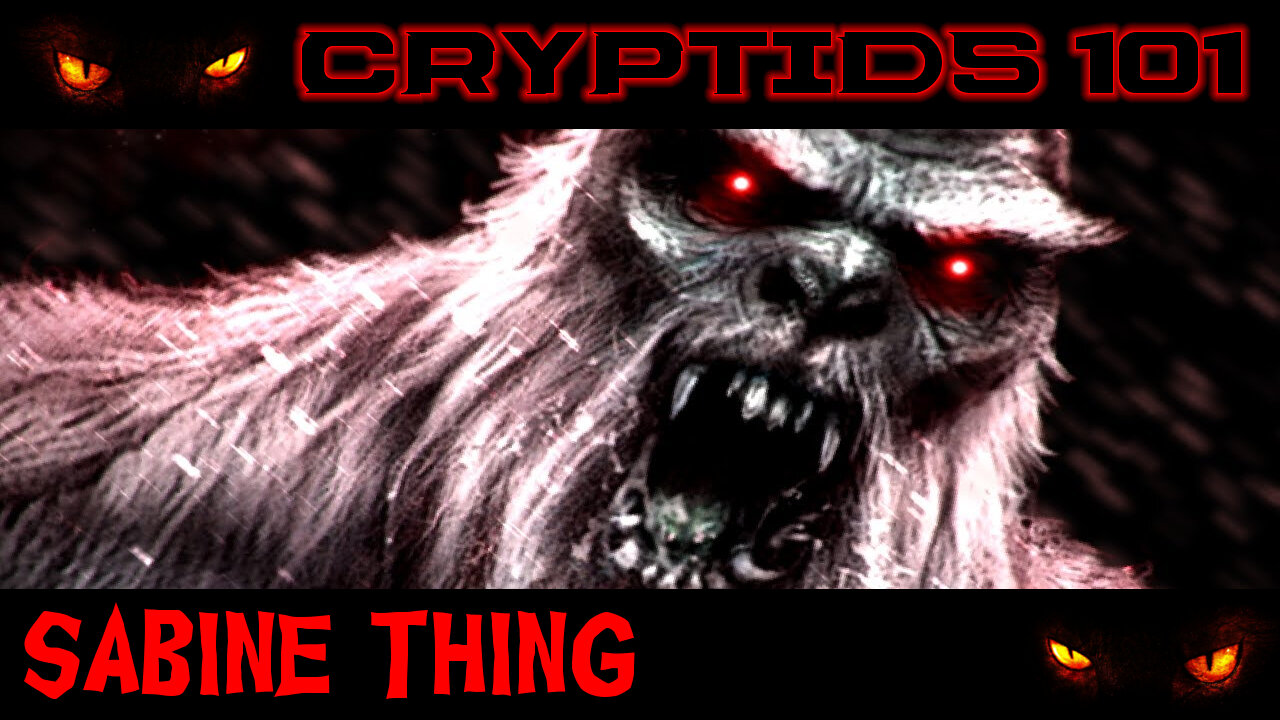 CRYPTIDS 101 🐾 The Sabine Thing (HAPPY HALLOWEEN) ᴸᴺᴬᵗᵛ