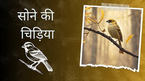 golden sparrow ( सोने की चिड़िया)