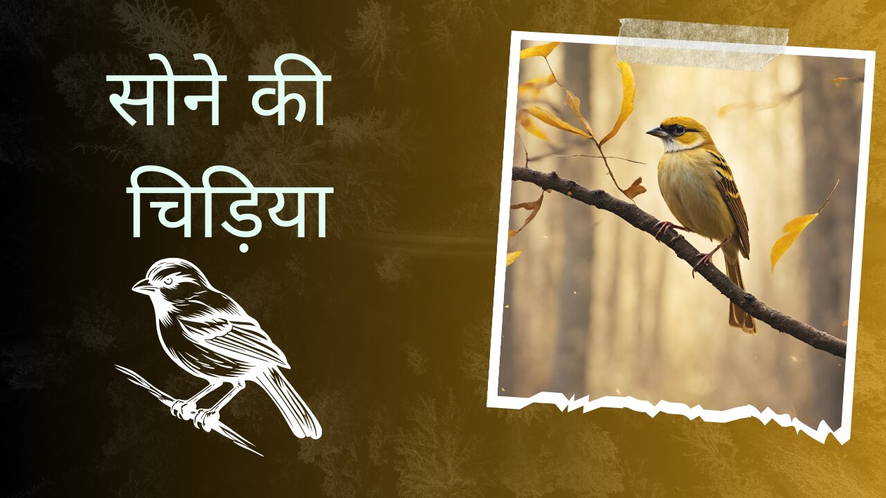 golden sparrow ( सोने की चिड़िया)