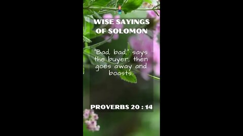 Proverbs 20.14 | NRSV Bible - Wise Sayings of Solomon