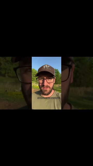 Chicken Wire vs. Hardware Cloth #shorts