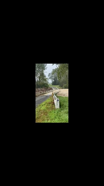 The Power of Mother Nature