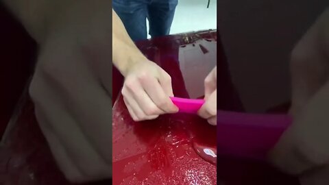 #shorts #2022 funny,prank,funjokes,dad jokes,funny memes,funny video,fun,laughing,funny animal,knock