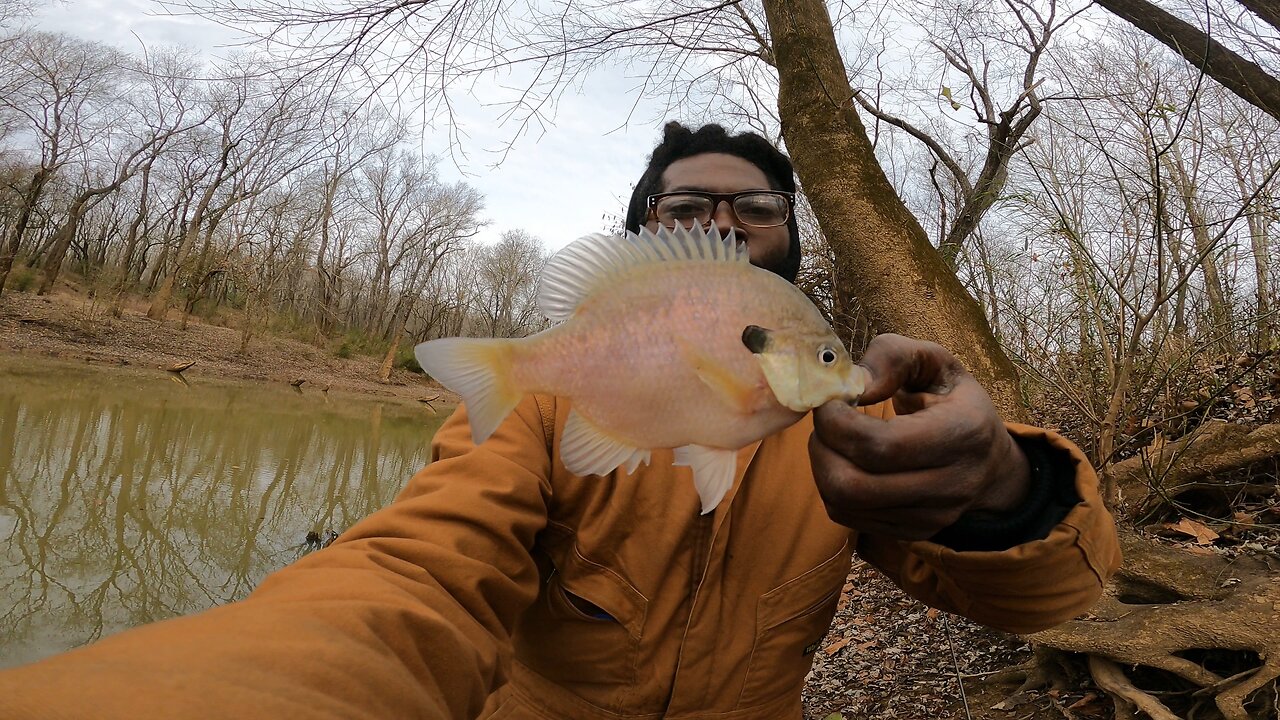 Fall BRAWL at the HONEY HOLE