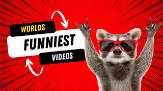 Worlds Funniest Videos