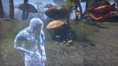 Necrom Part 15