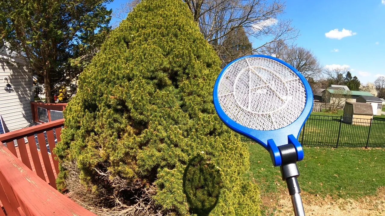 Wow it works! Electric Fly Swatter, Retractable Bug Zapper Indoor, Fly Traps