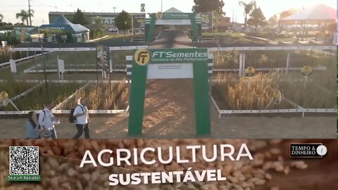 Conheça as novas cultivares de soja da FT Sementes para o sul do Brasil