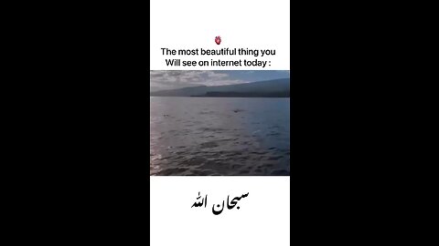 Most beautiful thing you will see here today